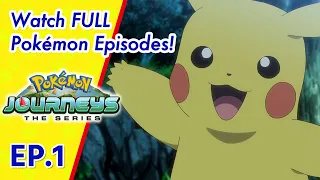 Pokémon Journeys | EP1 Enter Pikachu! | Pokémon South Asia (English)