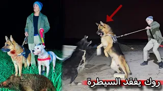العودة بعد غياب _ سبب اختفاء صلبوخ _ موت جراء كلبتي لوسي !! 🔥😨