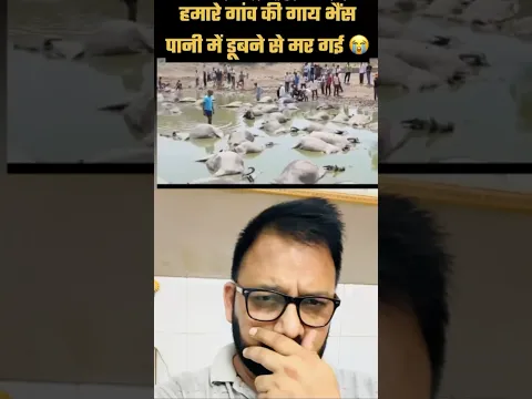 हे परमात्मा कुछ तो रहम करो 😭 #heavyrain #flood #punjabfloods #punjabflood2025 #shorts #floodalert