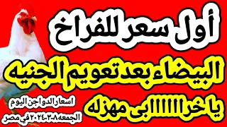 اسعار الفراخ البيضاء اليوم اسعار الدواجن اليوم الجمعه ٨-٣-٢٠٢٤  في مصر