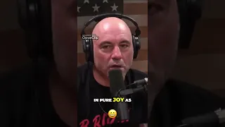 Discover the Joys and Challenges of Owning Dogs vs  Cats #dogpodcast #joerogan #ufc #doglovers