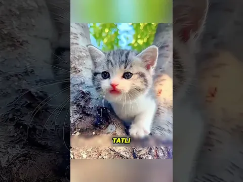 Suya Koydu ve Timsah 71 CM’ye Kadar Büyüdü! 😱🐊
