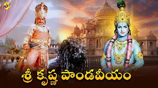 Sri Krishna Pandaveeyam Telugu Full Movie | శ్రీ కృష్ణ పాండవీయం | NTR | K.R.Vijaya |Samudrala| TVNXT