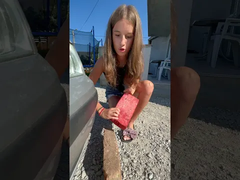 BACILA JE CIGLU NA MOJ AUTO