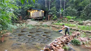 Build streams into ponds, stock fish, harvest fish for smoking. 2 Year Off Grid Cabin in Forest