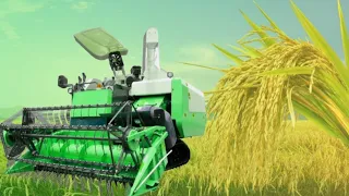 Paddy Harvesting Machine
