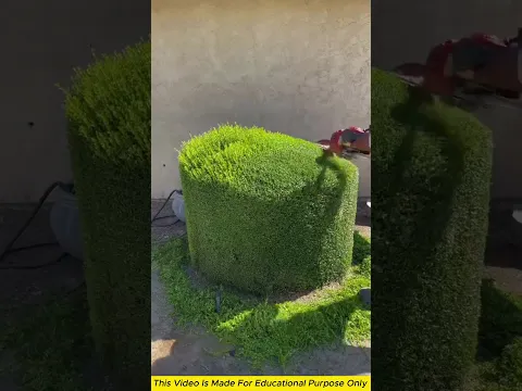 Everyone needs this unique job