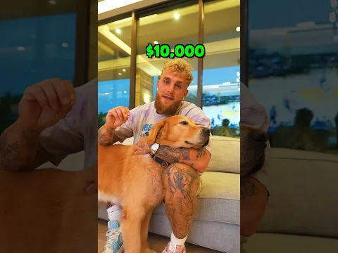 I Let My Dog Place A $10,000 Sports Bet!