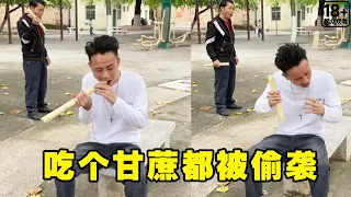 在公园吃个甘蔗都被偷袭，我也没招惹过他啊，势必得让他知道我的厉害了！【潼潼的一家】