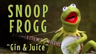 Snoop Frogg (Kermit sings "Gin & Juice")