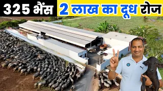 325 भैंसों का हाइटेक डेयरी फार्म  🐃 ₹2.16 लाख दूध Daily | Buffalo Farming Success Story