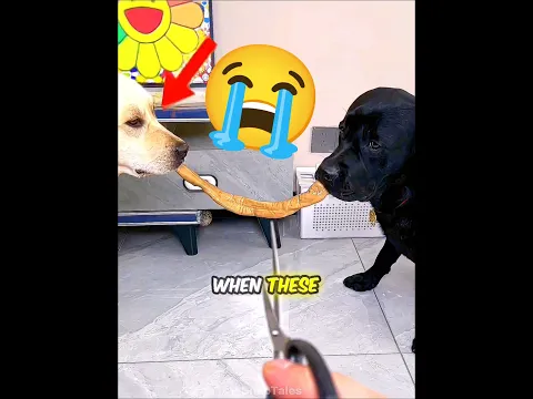 #audios