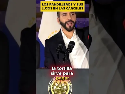 LOS PANDILLEROS Y SUS LUJOS EN LAS CÁRCELES  #elsalvador #nayibbukele #noticias