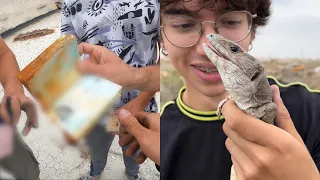 NO CREERÁS lo que encontré en estos EFECTOS TRAMPA