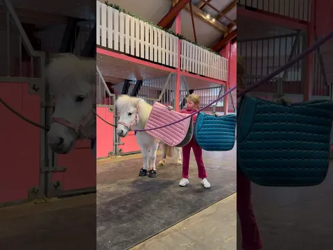 Get ready with Ella ❤️ #shortsvideo #barbie #horse