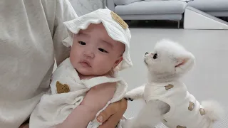 할머니가 아기만 예뻐해 줬더니...