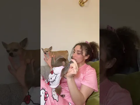 تابعوني  rose.alaaa سناب لتشوفو يومياتي مع لحيوانات