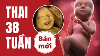 Thai 38 Tuần Mổ Được Chưa? Phát Triển Như Thế Nào?