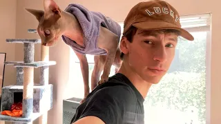 Home life + Welcome back to LA