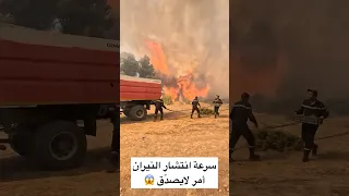 معركة حقيقية مع النيران تحية للحماية المدنية الجزائرية