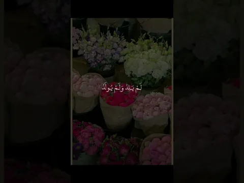 قل هو الله احد