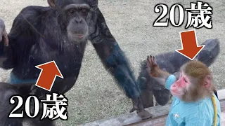 20歳になったパンくんとカイくん…年を重ねてもやりとりが凄すぎる。【天才と天才】