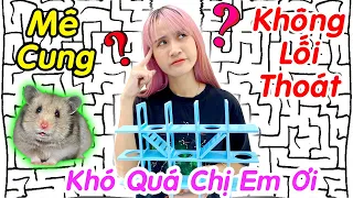 Hài Hước Khi Bà Vê Cho Chuột Hamster Giải Mã Mê Cung - Vê Vê Travel