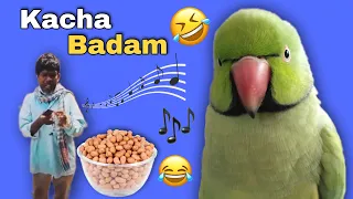 😂 Badam Badam.. Kacha Badam 🤣🎶