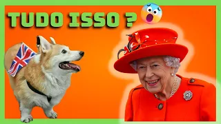 Após morte da rainha, valor de cães da raça corgi passa de R$ 14 mil