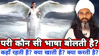 9521560746 परी कौन सी भाषा बोलती है? | Pari Kaha Rahti Hai? | what language does the angel  speak?