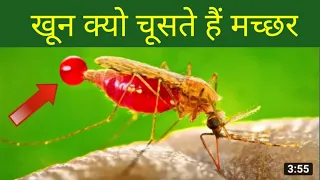 Part - 2  🤯  मच्छर आखिर इंसानों का खून क्यों पीते हैं#shorts#j2motivation#facts#machhar
