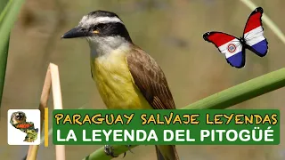 Paraguay Salvaje: Leyenda del Pitogue
