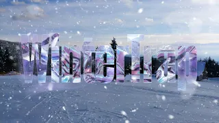 WinterTrap DJKITT3 X PIGEON_P_BEATS ( Official Audio )
