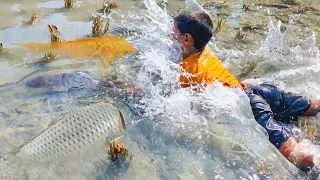 amazing hand fishing video  -  boys catching fish by hand - hand fishing from mud water part - 14