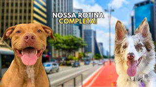 Rotina Da Valentina e Do Sebastian | Tudo o Que Fizemos Em Um Dia | Alimentação + Passeio