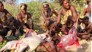 See how hadzabe hunt and cook their  food/ Hadzabe hunting traditions #hadzabetribe