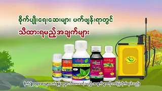 "စိုက်ပျိုးရေးဆေးများပက်ဖျန်းရာတွင် သိထားရမည့်အချက်များ"