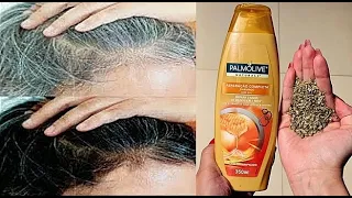ESCURECE ATÉ O ULTIMO FIO BRANCO DA CABEÇA/ ATÉ A BARBA DO MEU MARIDO ESCURECEU...