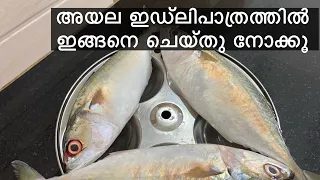 അയല ഇഡ്ലിപാത്രത്തിൽ ഇങ്ങനെയൊന്ന് ചെയ്തു നോക്കണേ