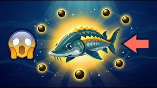¿Por qué una cucharada de caviar cuesta más que tu celular?