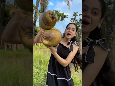 Do you Like Coconuts🌴😻#shorts #vlog #minivlog #dailyblog #olidaandimdat