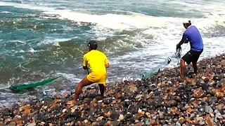 El Mar les Entrega una Sorpresa Gigante… ¡Mira lo que sacan de agua!