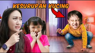 ABEW KESURUPAN KUCING