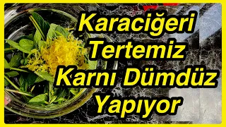 Karaciğeri Tertemiz Karnı Dümdüz Yapan Şişkinlik Giderici Kür