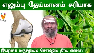 எலும்பு தேய்மானம் சரியாக | Bone abrasion | Veld grape | Pirandai | Ghee | Salt