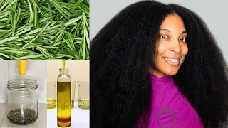 DIY Huile De Romarin Pour La Pousse Des Cheveux l Secret De Pousse Des Caraïbes