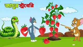 Tom and Jerry | Tom and Jerry Bangla | cartoon | Tom and Jerry cartoon | Bangla Tom and Jerry
