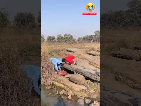 😱 aaj to inshan ka lass mil gya | #shorts #vlog #minivlog