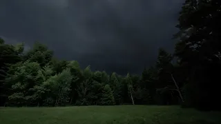 Forest Thunderstorm | Lost in the Woods | Calm Before the Storm | 3 HOURS