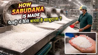 How Sabudana made In Factory 🏭? #facts #viral 